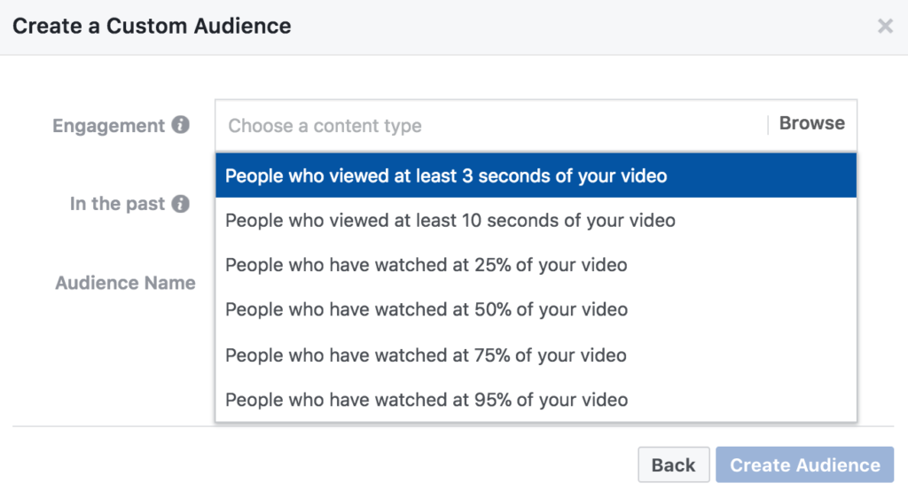 video audiences